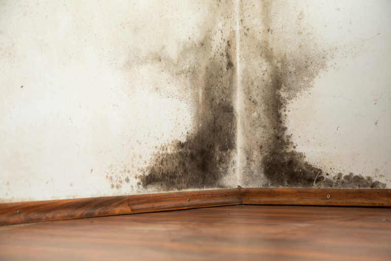 9 Top Tips For Preventing Condensation and Mold In Your Home