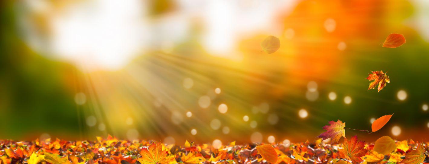 Rugby Property Market Update – October 2025